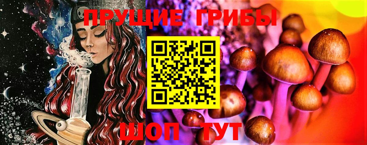 Псилоцибиновые грибы Magic Shrooms Великий Новгород