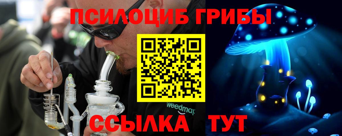 Псилоцибиновые грибы Cubensis  Вход с VPN  Великий Новгород 